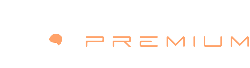 premiumtouroperatordmc.com